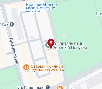 Шкиперский проток диагностическая карта