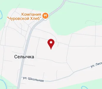 Санаторий селычка удмуртия фото