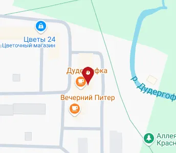 Проспект ветеранов карта