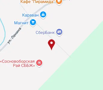 Пенза сосновоборск карта