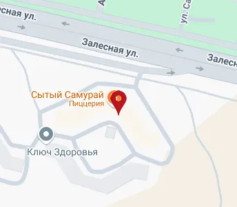 Залесный новомосковск карта