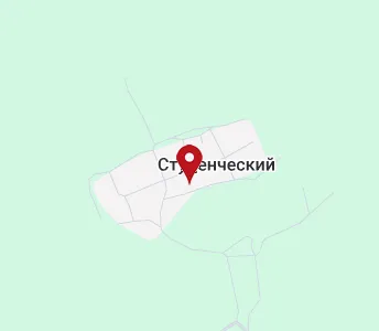 Пушкинская карта бийск