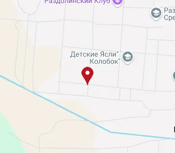 Красноярский край раздолинск карта