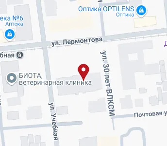 Учебная омск карта