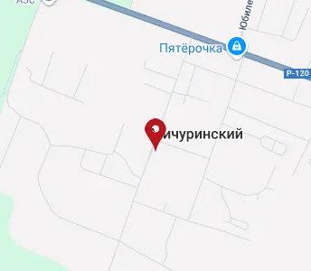 Мичуринский поселок новосибирск карта