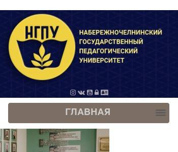 Пединститут набережные челны